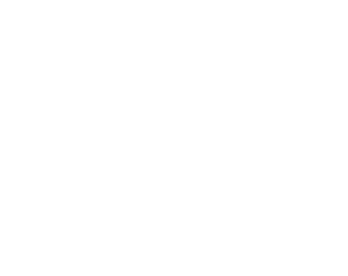 pollo-logo-2